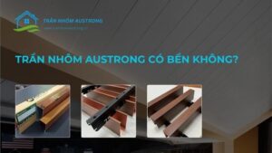 Trần nhôm austrong