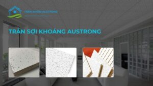 trần sợi khoáng austrong